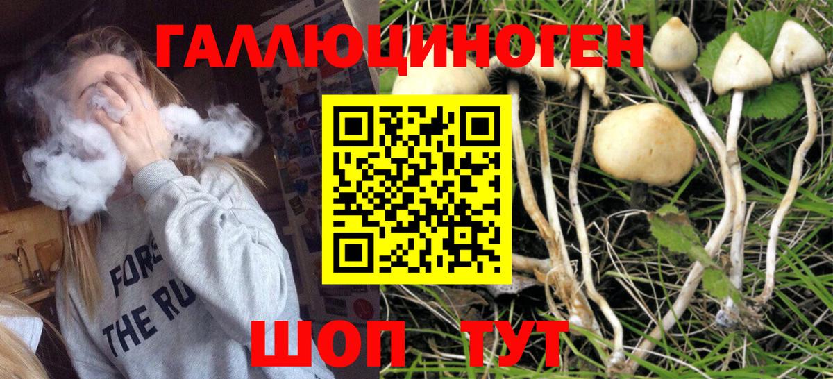 Псилоцибиновые грибы прущие грибы  Галлюциногенные грибы Psilocybine cubensis  Георгиевск  Вход с VPN 
